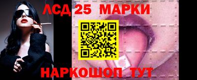 прущие грибы Комсомольск-на-Амуре