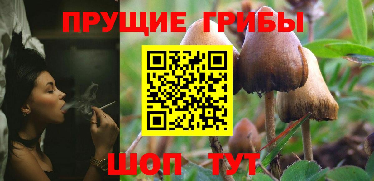 где купить наркоту  Галлюциногенные грибы прущие грибы  Вход с VPN  Мегион 